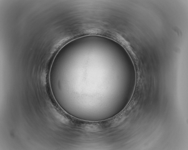 X0000110870106200906181210