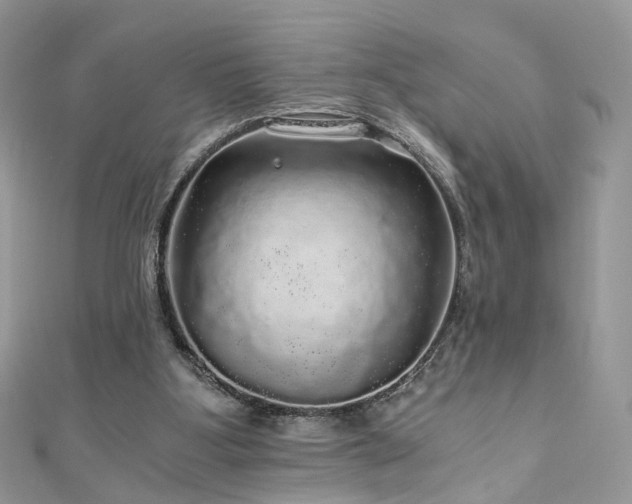 X0000110870107200906181210