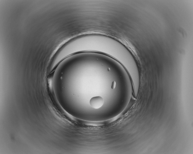 X0000110870108200906181210