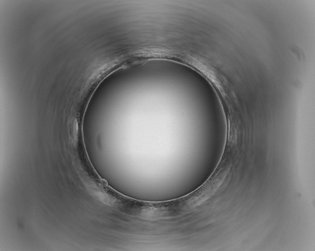 X0000110870109200906181210