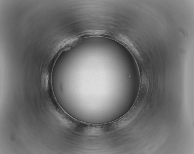 X0000110870110200906181210