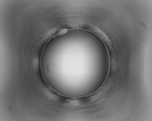 X0000110870113200906181210