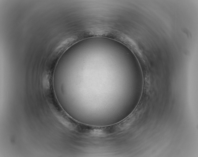 X0000110870114200906181210