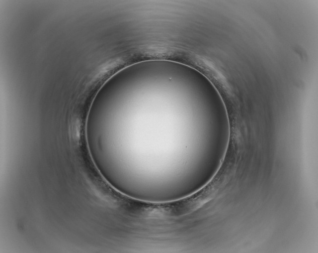 X0000110870115200906181210