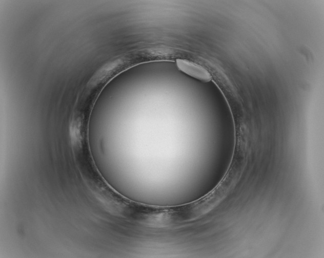 X0000110870116200906181210