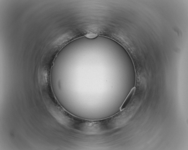 X0000110870117200906181210