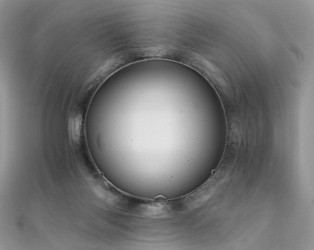 X0000110870118200906181210