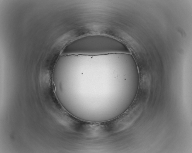 X0000110870121200906181210