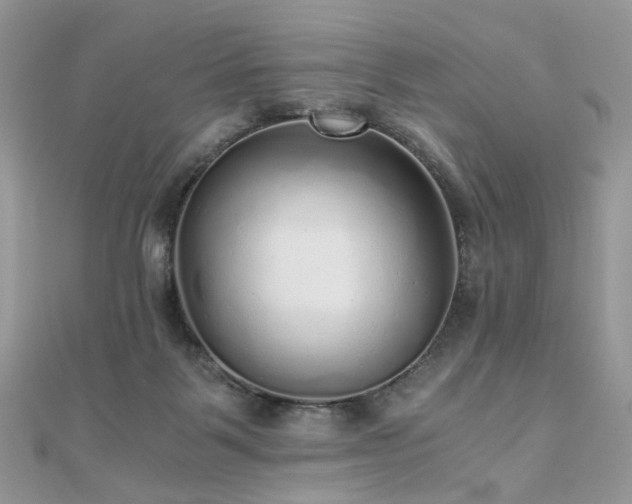 X0000110870123200906181210