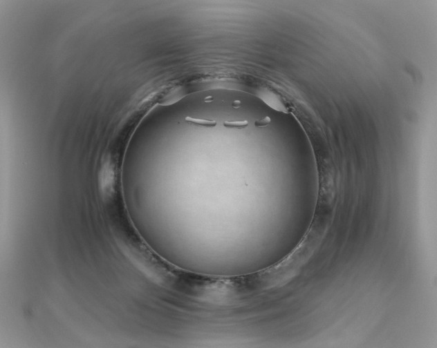 X0000110870124200906181210