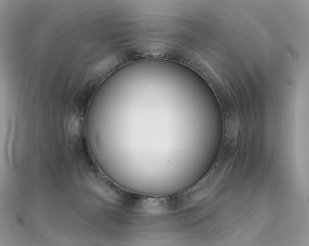 X0000110870126200906181210