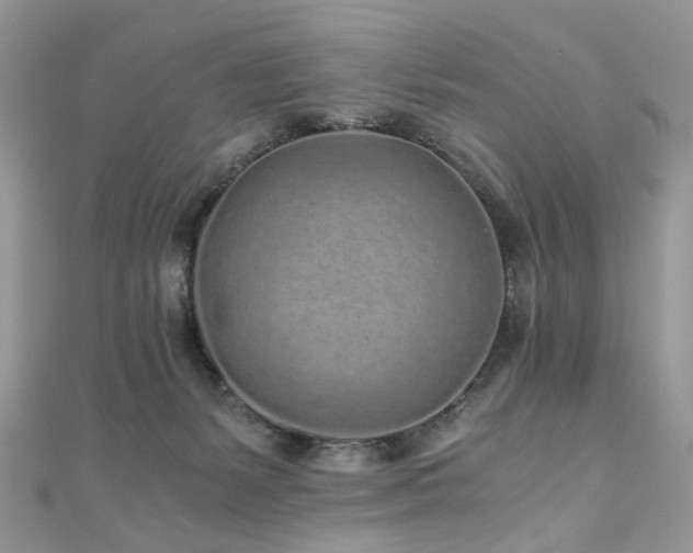 X0000110870127200906181210