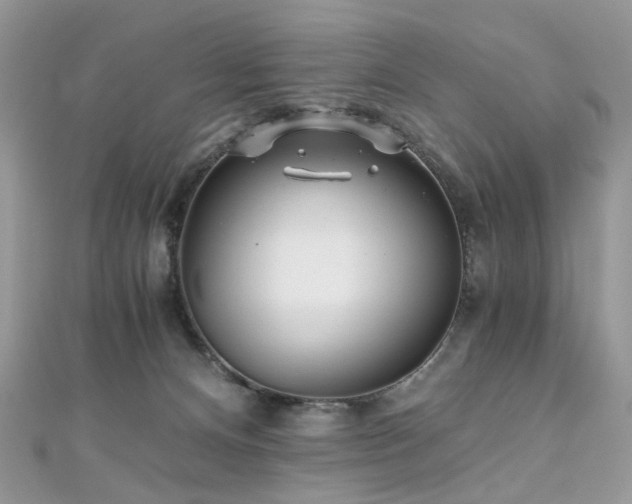 X0000110870128200906181210