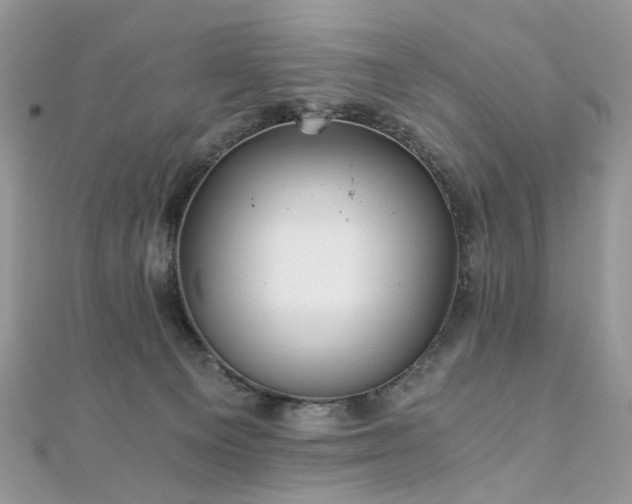 X0000110870129200906181210