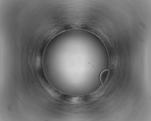 X0000110870130200906181210