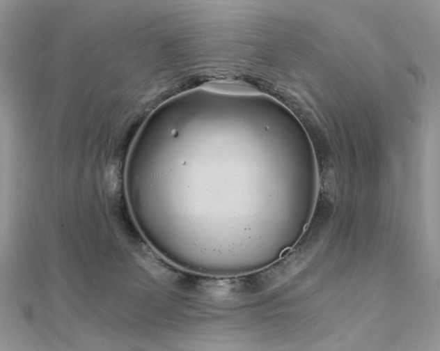 X0000110870131200906181210