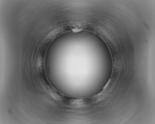 X0000110870132200906181210