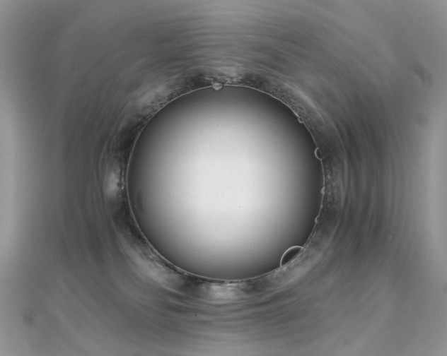 X0000110870134200906181210