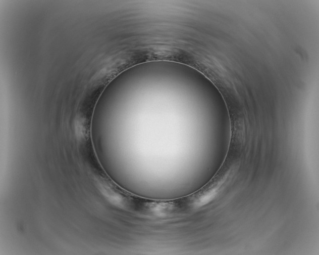 X0000110870135200906181210