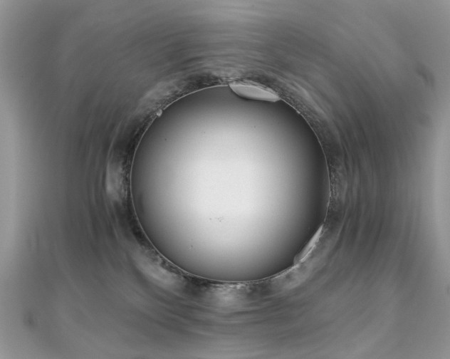 X0000110870136200906181210