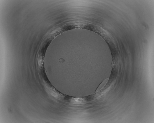 X0000110870137200906181210