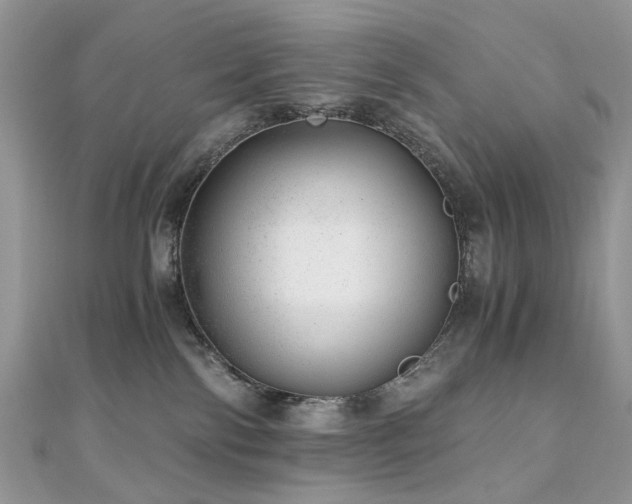 X0000110870138200906181210