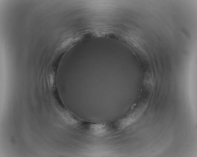 X0000110870139200906181210