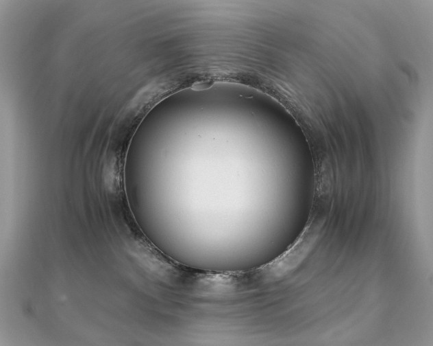 X0000110870140200906181210