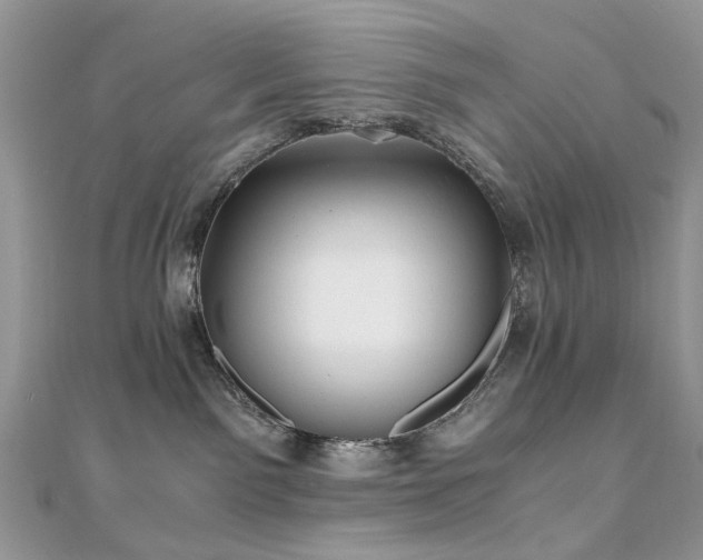 X0000110870141200906181210