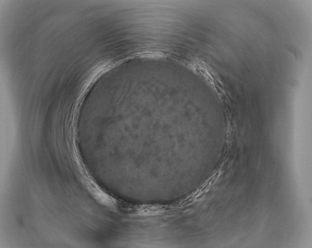 X0000110870145200906181209