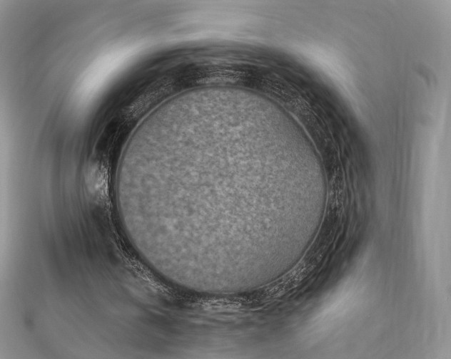 X0000110870146200906181209