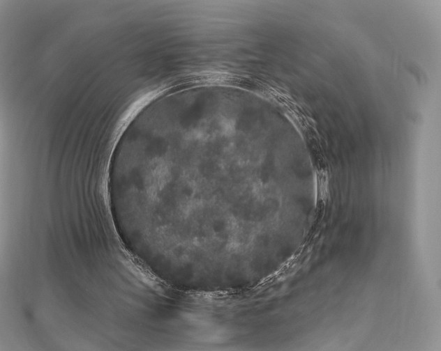 X0000110870147200906181209