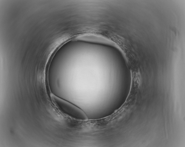 X0000110870148200906181209