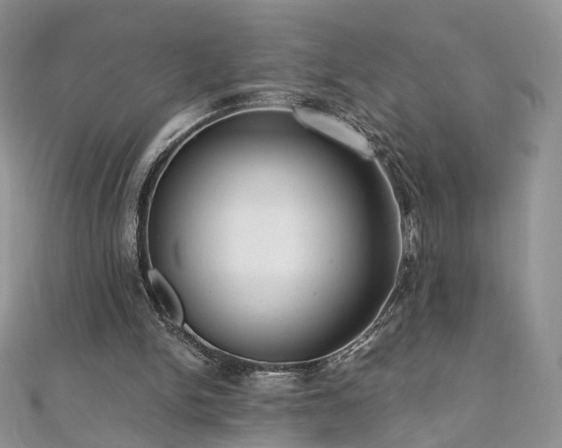 X0000110870150200906181209