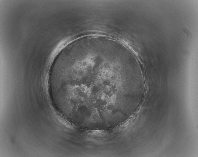 X0000110870151200906181209