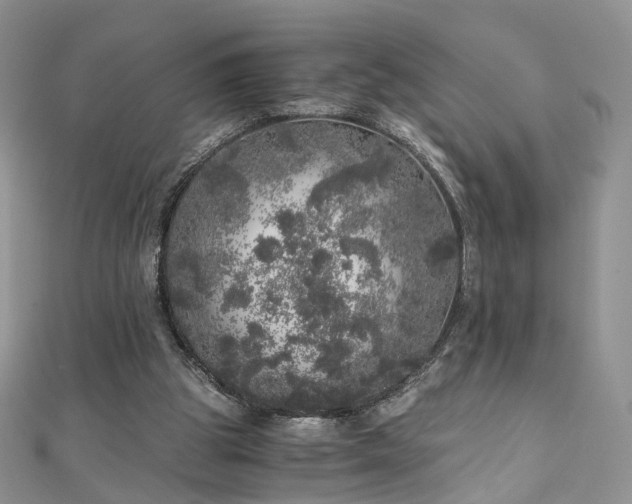 X0000110870153200906181209