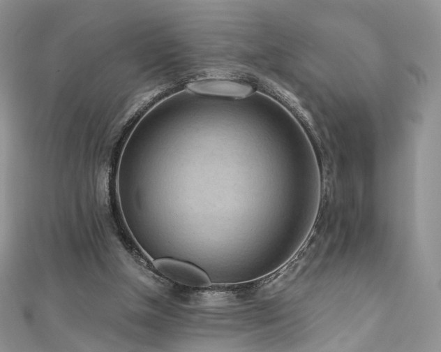 X0000110870154200906181209