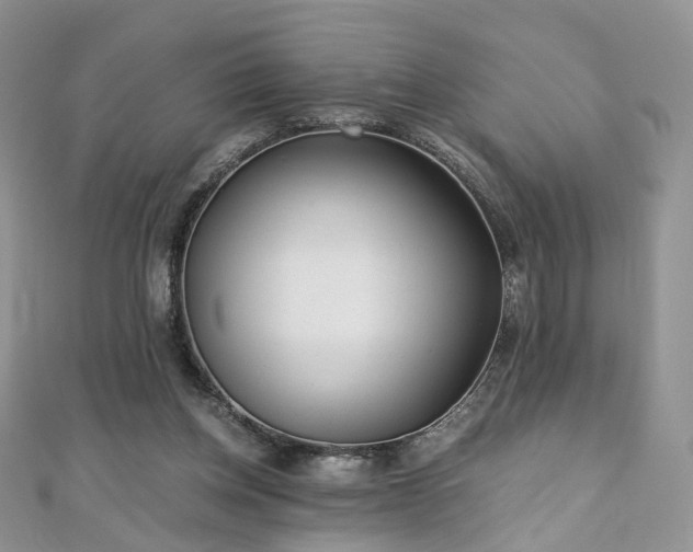 X0000110870158200906181209