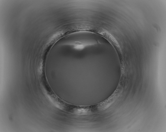 X0000110870163200906181209