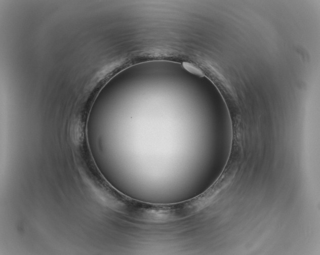 X0000110870164200906181209