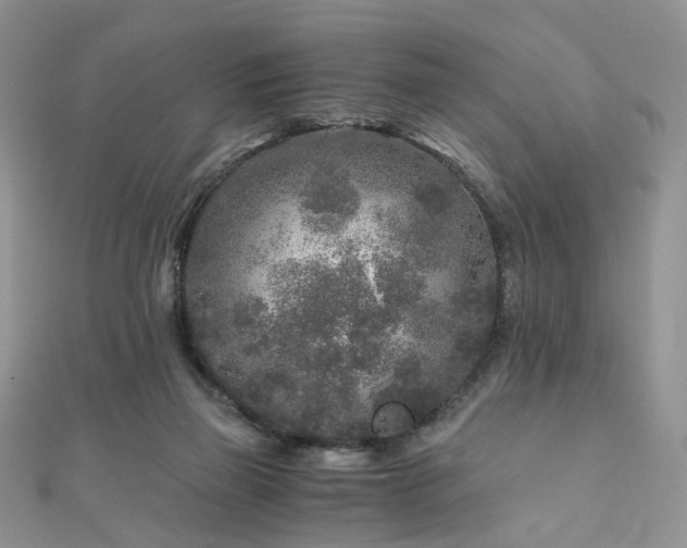 X0000110870165200906181209