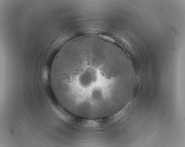 X0000110870166200906181209