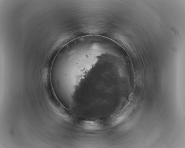 X0000110870167200906181209