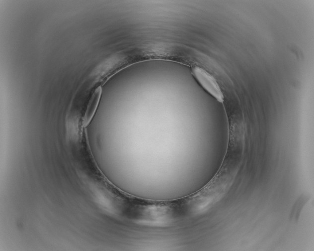 X0000110870168200906181209