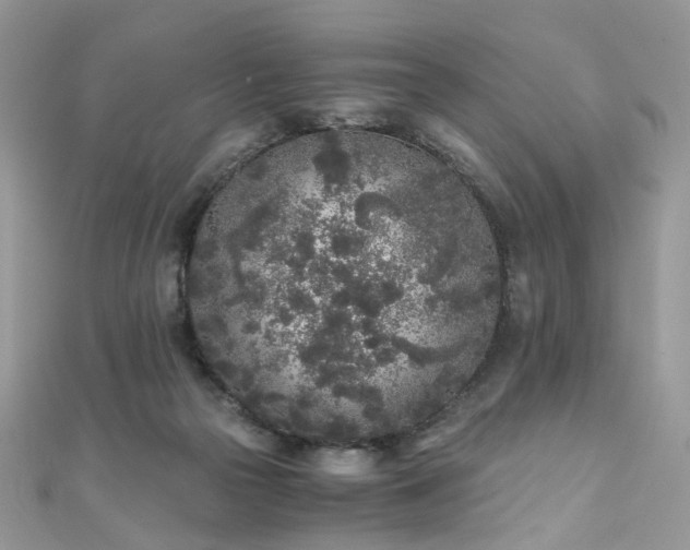 X0000110870169200906181209