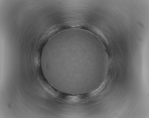 X0000110870170200906181209