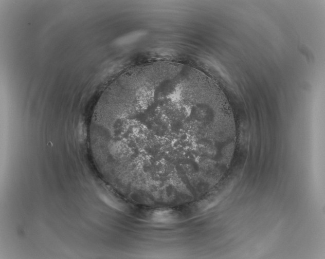 X0000110870173200906181209