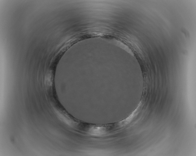 X0000110870174200906181209