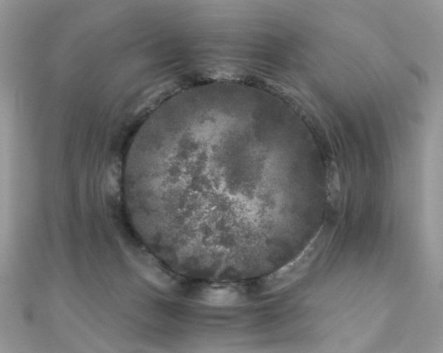 X0000110870175200906181209