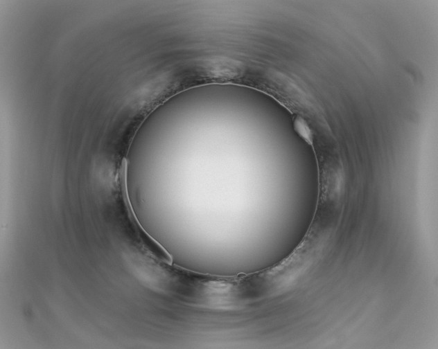 X0000110870176200906181209